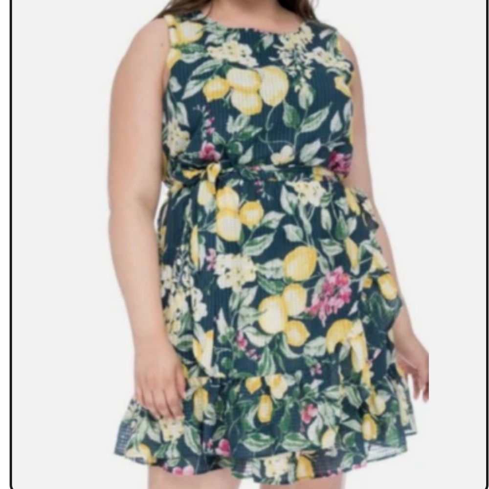 Sleeveless Lemon Floral Print Dress size 2x